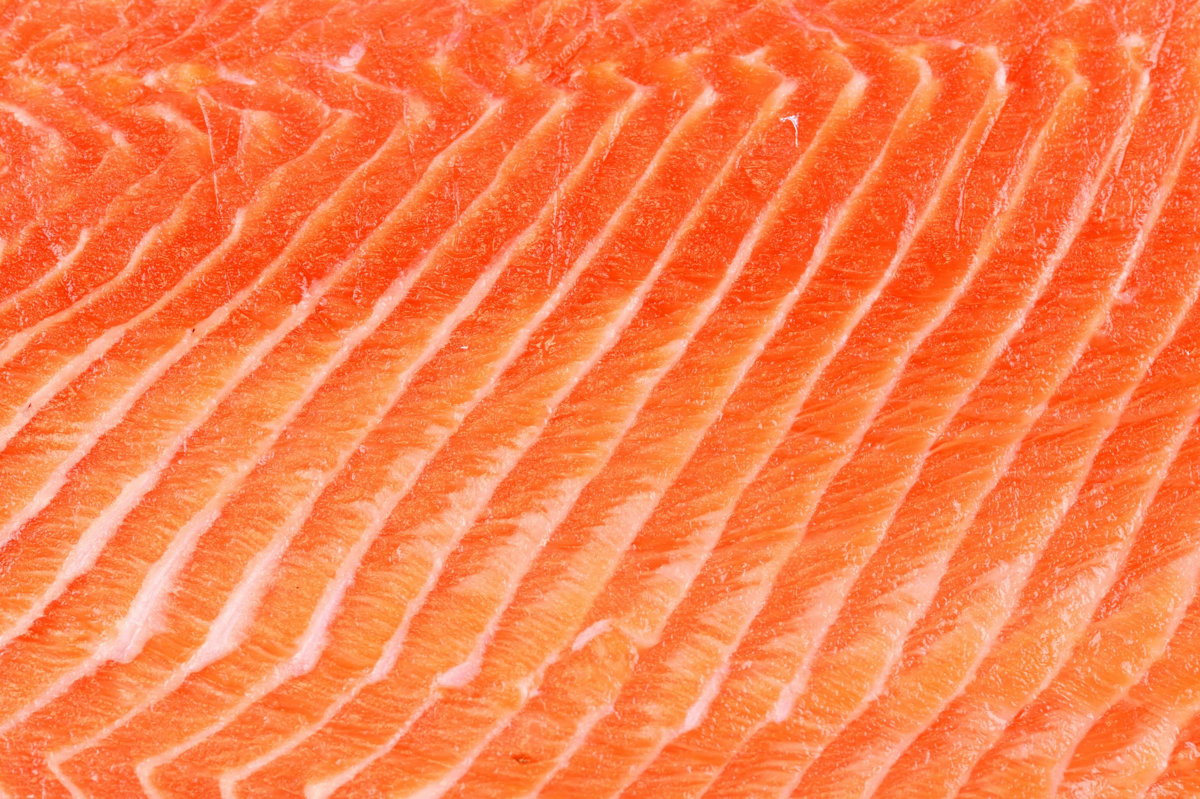 Salmon meat